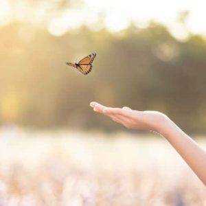 butterfly flying from an outstreached hand depicting grief support from a death doula