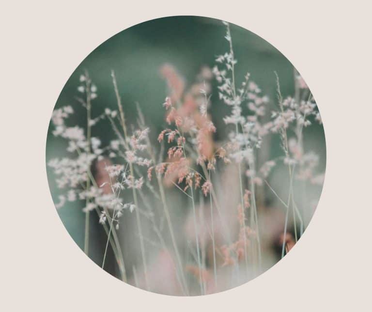 ✨ Growing with Grief An Invitation to Healing ✨ At In the Spirit of Healing we believe grief is not a problem to be solved — it is a sacred invitation to presence tenderness and transformation. 3